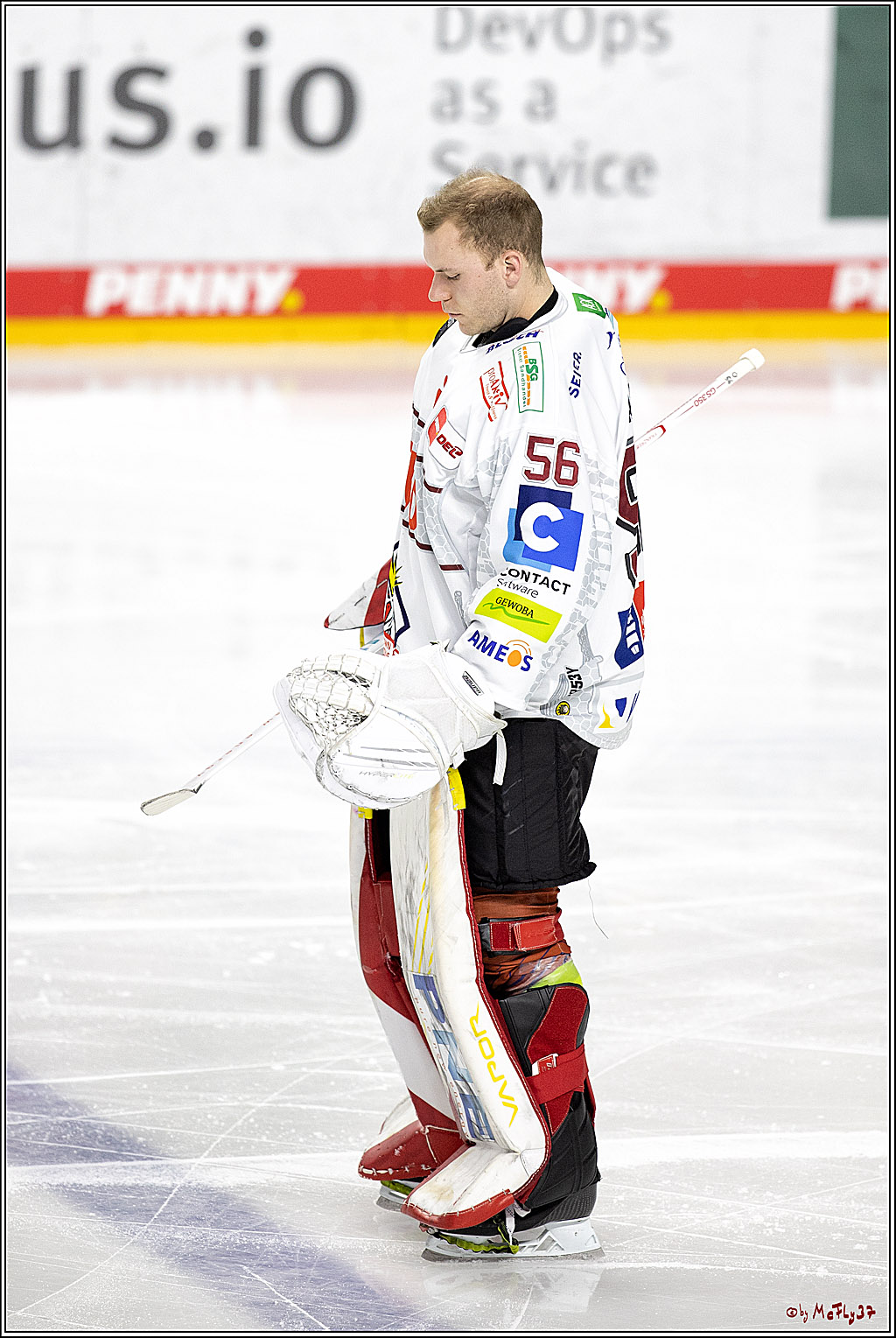 PENNY DEL;  Koelner Haie - Fischtown Pinguins Bremerhaven; Koeln, 03.01.2022